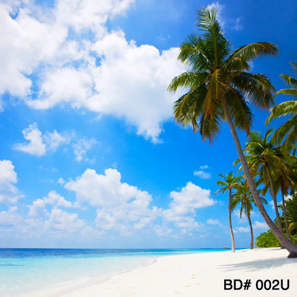 paradise beach photo background