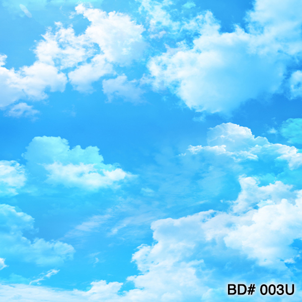 blue sky clouds photo backdrop rental nyc new jersey