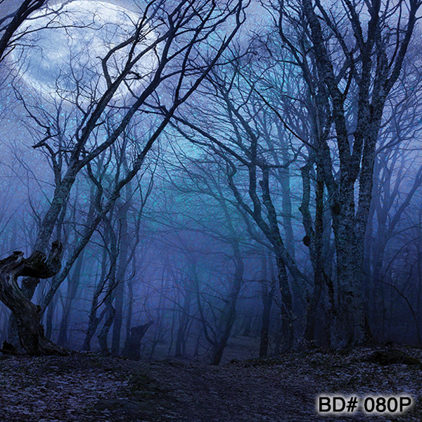 spooky forest moon scary photo backdrops new york city