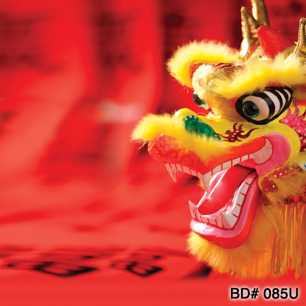 chinese lunar new year photo backdrop rental nyc