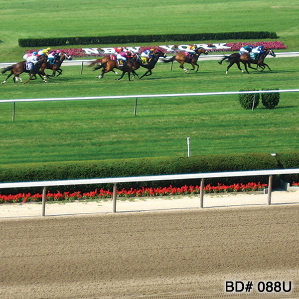 horse racing photography backdrop rental nyc new jersey party theme